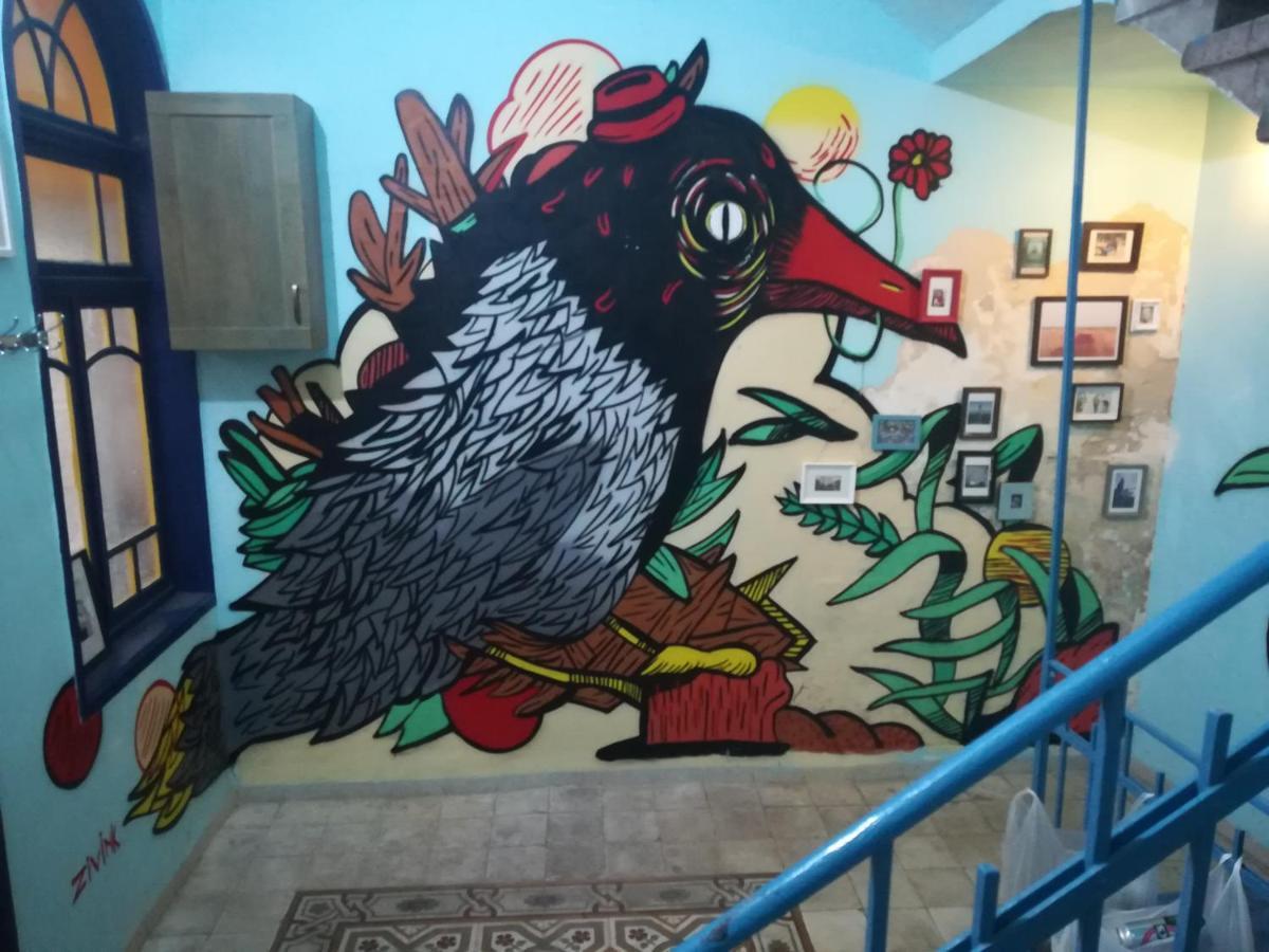 Nest House Хайфа Экстерьер фото